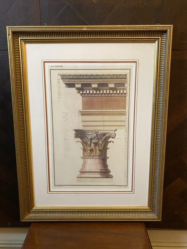 Classical Architectural Print of Short Column
