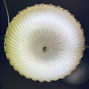 Alternative view of Vintage Glass Ceiling Light