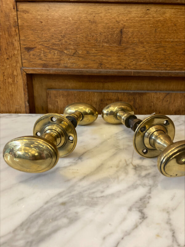 Oval Brass Door Handles