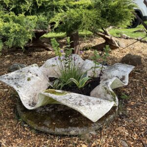 Mid Century 'Willy Guhl' Hankerchief Planter