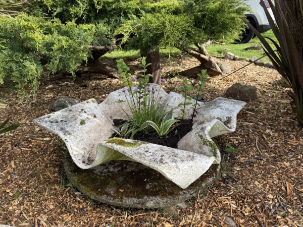 Mid Century 'Willy Guhl' Hankerchief Planter