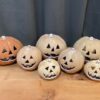 Vintage Terracotta Pumpkin Family
