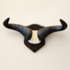 Contemporary ‘LOVE’ Illuminated Sign Vintage Mounted Wildebeest Horns