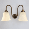 Antique Double Arm Swan-Neck Sconce