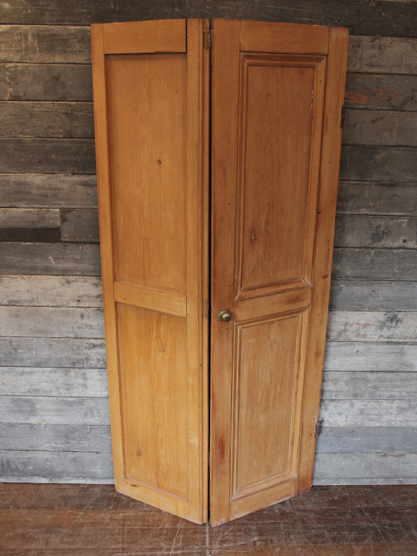 Victorian Folding Cupboard Door