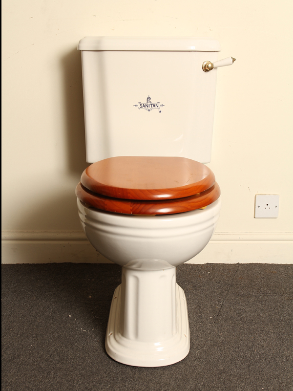 Sanitan Toilet Pan and Cistern